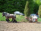 DSC01413