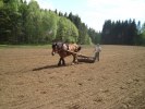 DSC01420