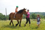 Rollett har fått vara barn (ponny) i sommar