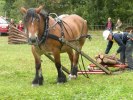 SM 2010 Kjell & Donica 073
