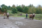 Brolina & Corinne Harvar ridbanan i Veddige då traktorn gått sönder 2