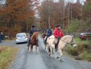 DSC01977