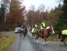 DSC01981