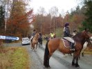 DSC01984