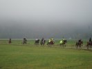 DSC02007