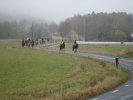 DSC02010