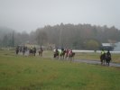 DSC02011