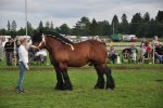 Expo de Feulen  11778 185