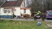 Hela gänget på vagnen ut på träning