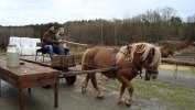 Träning vid bryggan