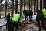 arbete i bänken