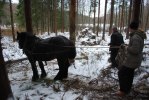 Träning i skogen
