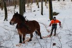 jobbigt med djup snö