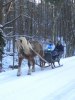 Rosmarie juldagens slädtur med Brolina!