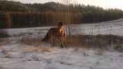 n8 dec-10 186