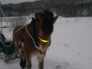 20101231232