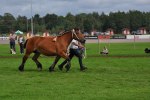 Asta L 23-06-0032 088