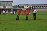 Nixon 23-08-5060 266