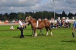 Rakel 23-04-0120 104