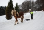 uppvärning