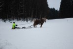 Åka kälke