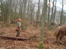 DSC02396