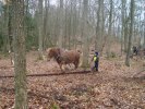 DSC02404