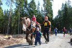 DSC_familjehäst
