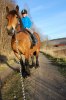 DSC_Lynn o Rollett 2