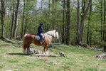 DSC_Backa i ett L