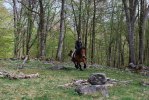 DSC_I galopp Rollett o Lina