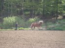 DSC02633