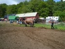 DSC02635