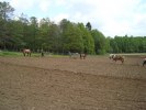DSC02645