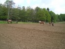 DSC02646