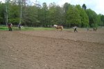 DSC02647