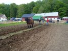 DSC02649