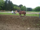 DSC02660