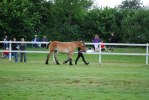 DSC_Margit