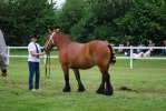 DSC_Rolett i ringen 8 9 6 8 7 38