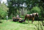 DSC_KBI Randa