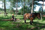 DSC_Linus på väg att lasta av