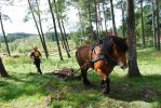DSC_Pär o Krut är klara med portarna
