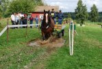 DSC_Lizziy i vatten