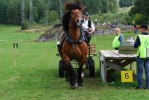 DSC_Krut vid lastbryggan
