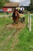 DSC_Krut i vatten