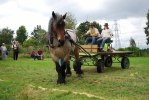 DSC_Rabby vänder på sidoväg