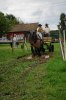 DSC_Rabby i vatten