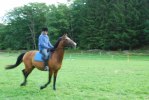 DSC_Rosmarie o Hebbe mot hinder