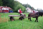 DSC_Klurigt att backa in i port
